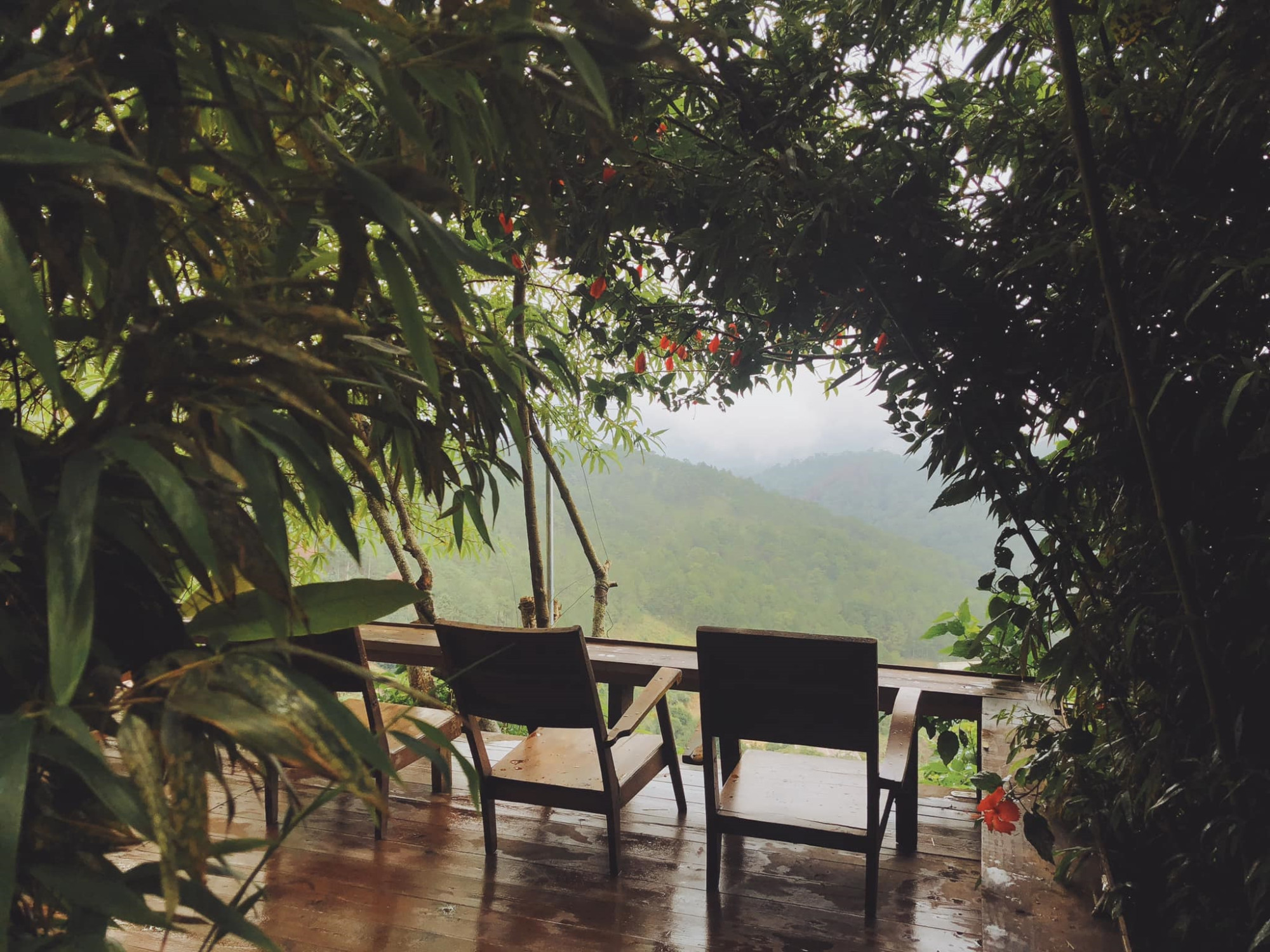 Cheo Veooo Đà Lạt 